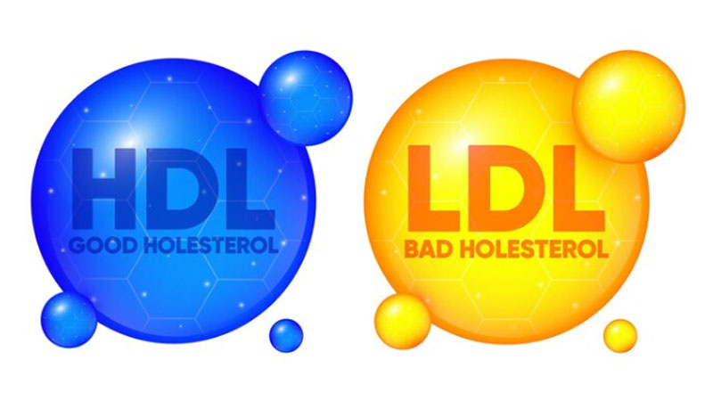 Fakta Tentang Kolesterol LDL dan HDL, Mengenal Lemak Baik dan Buruk – PAFI Kota Batam